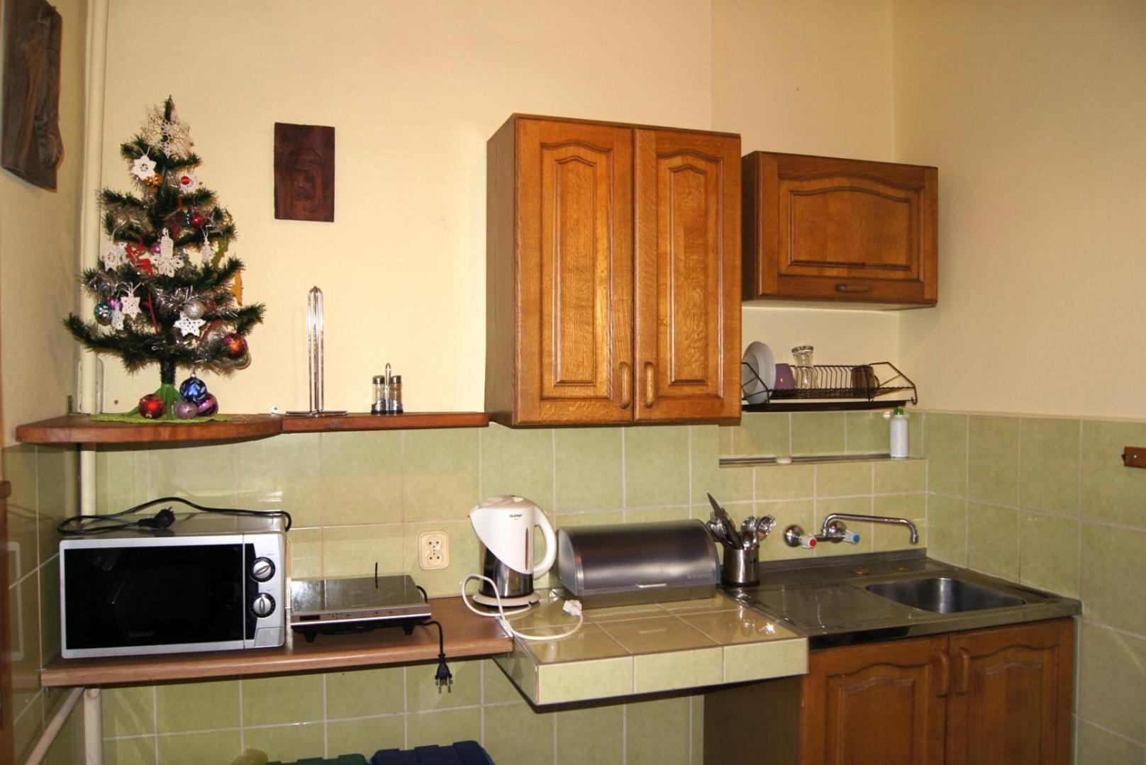 Roza Apartment Шклярска Поремба Екстериор снимка